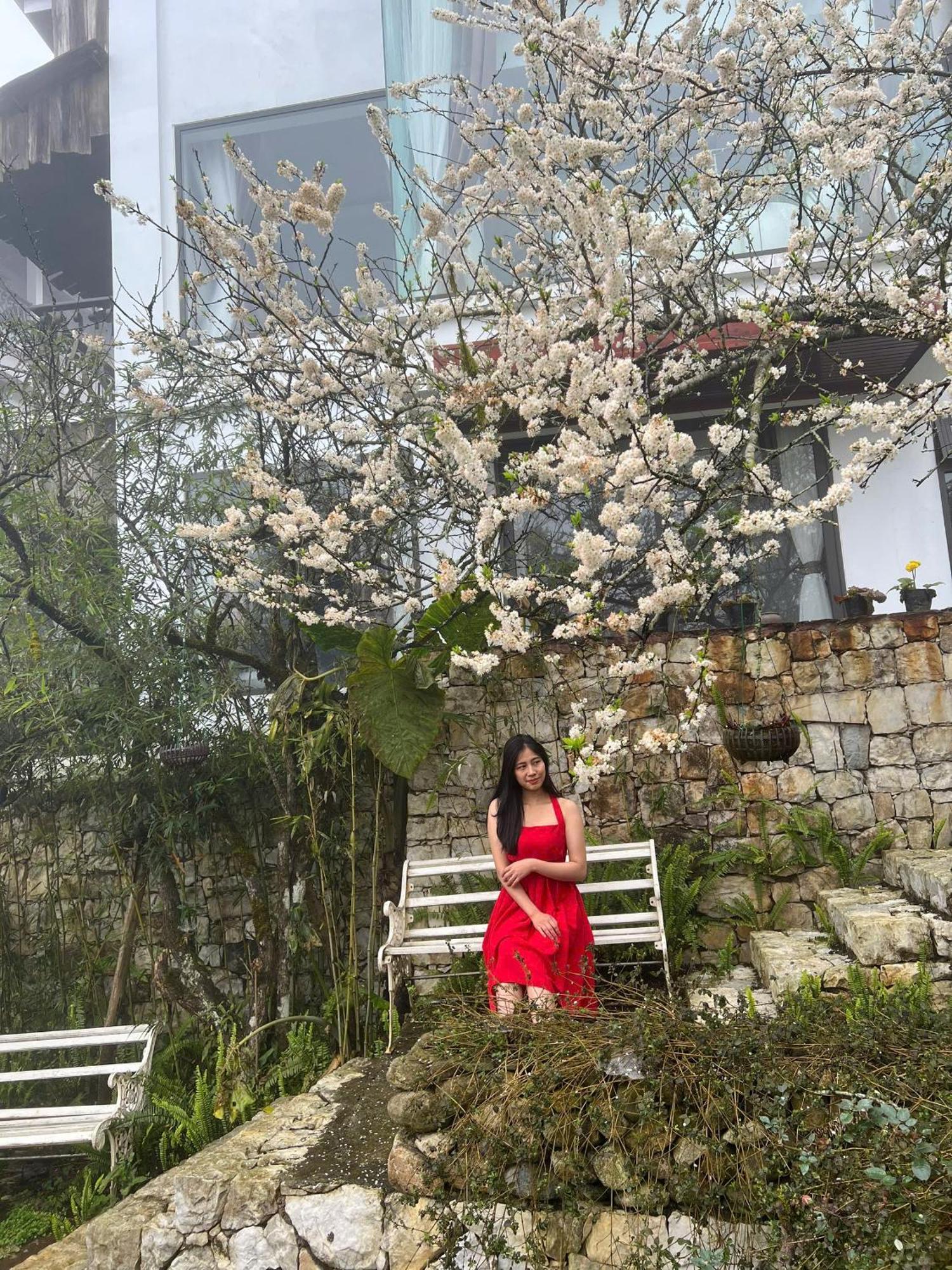 Green Villa Sapa Kültér fotó