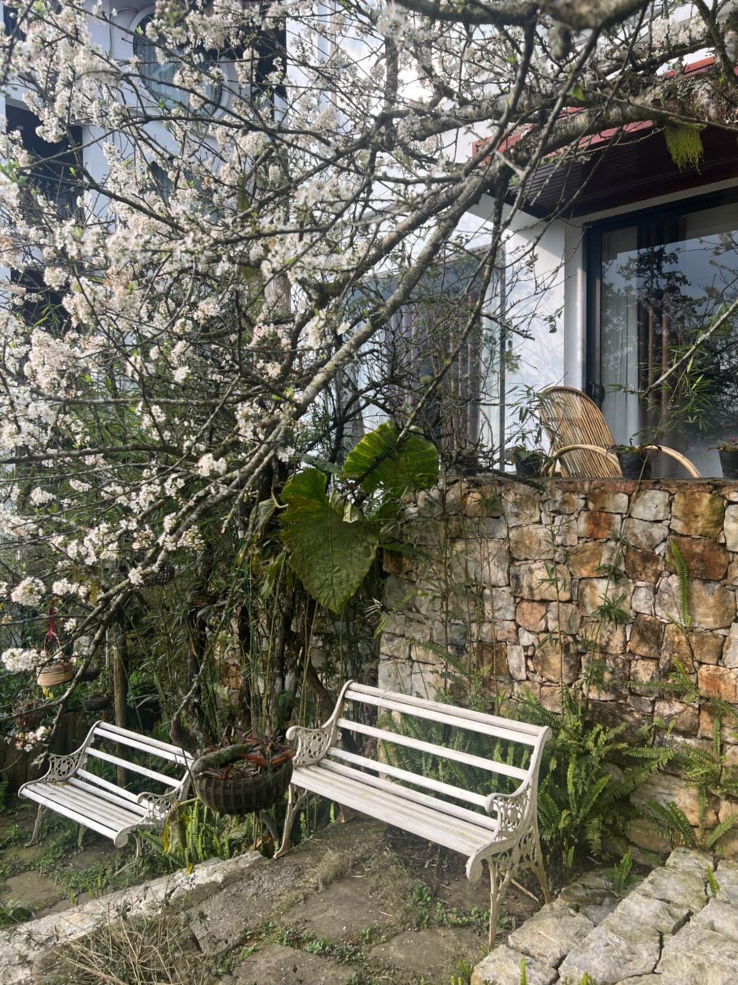 Green Villa Sapa Kültér fotó