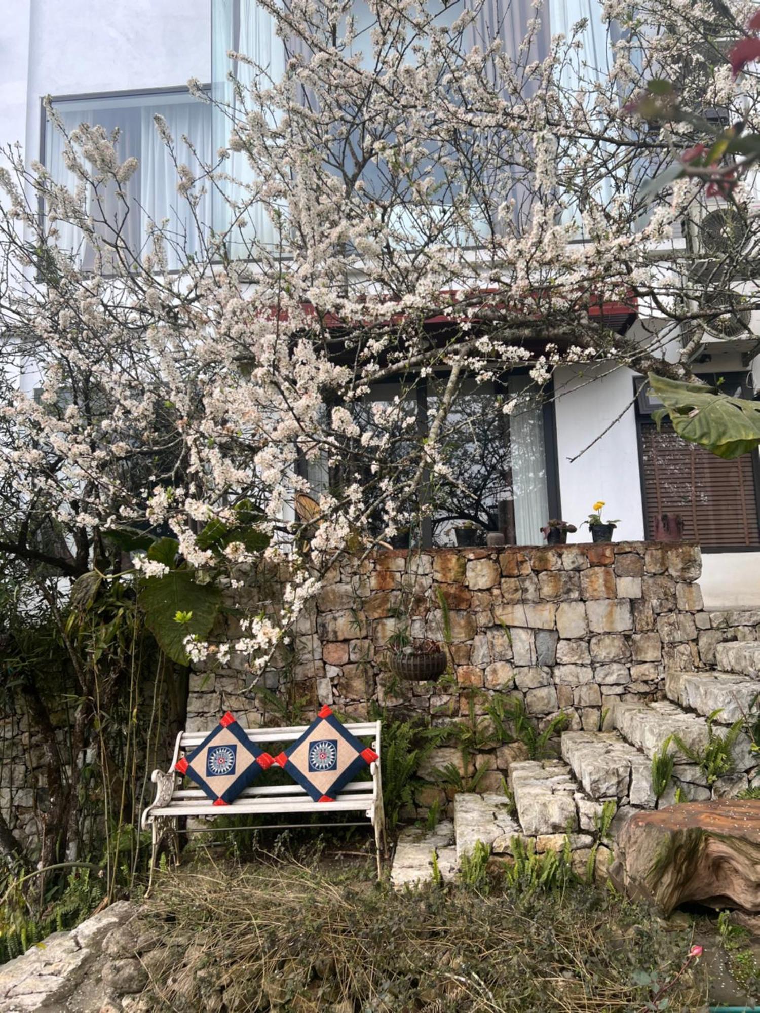 Green Villa Sapa Kültér fotó